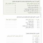 Arabic Between Your Hands – Level 2, Part 1 & Part 2 – Al Arabiyyah Bayna Yadayk, Learn arabic