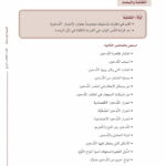 Arabic Between Your Hands - Level 4, Part 1 & Part 2 - Al Arabiyyah Bayna Yadayk