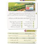 Arabic At Our Children's Hands: Full set 12 books Al Arabiyyah Bayna Yaday Awlad